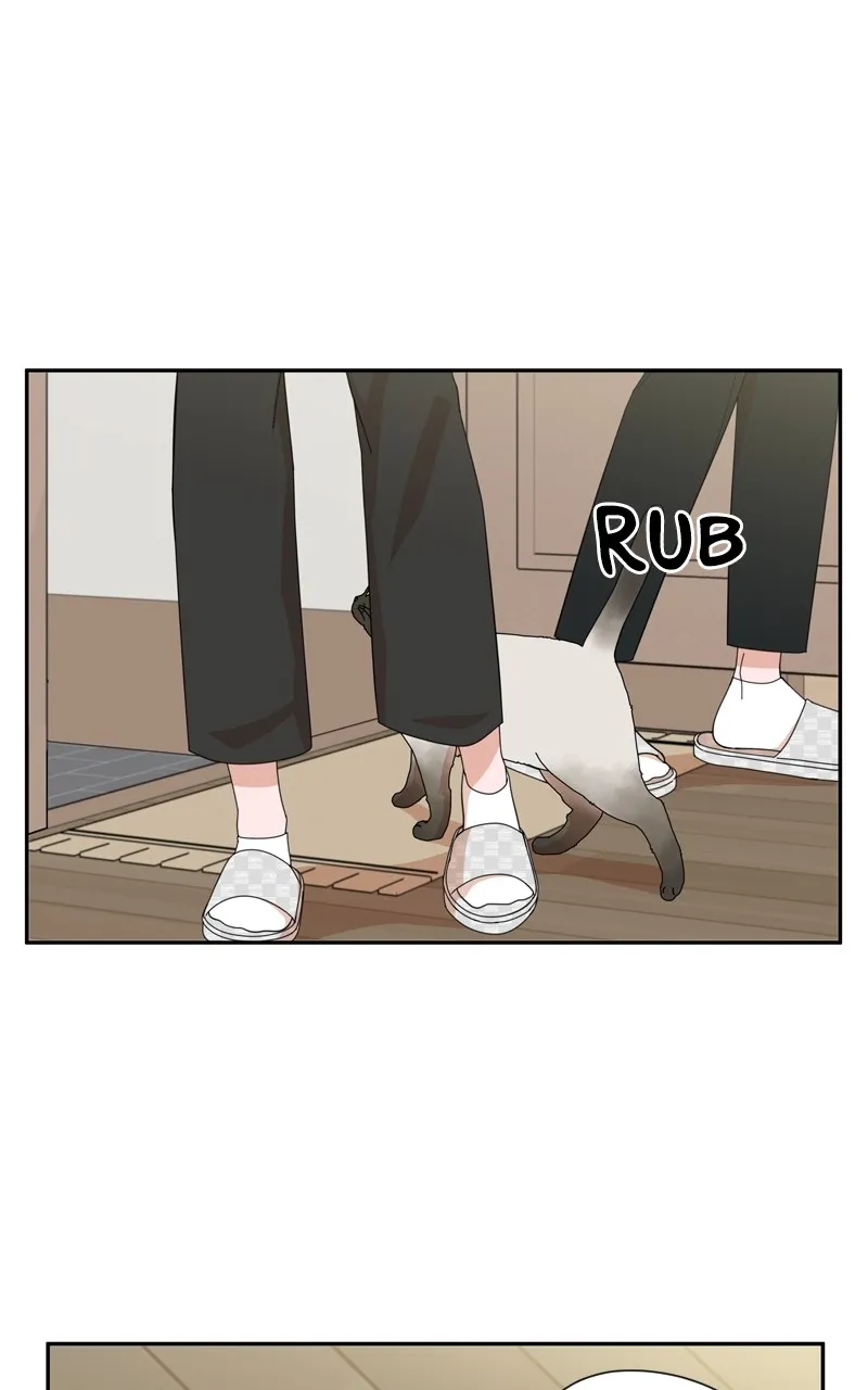 Read The Guy with Pretty Lips chapter 5 image 4 on Lezhin