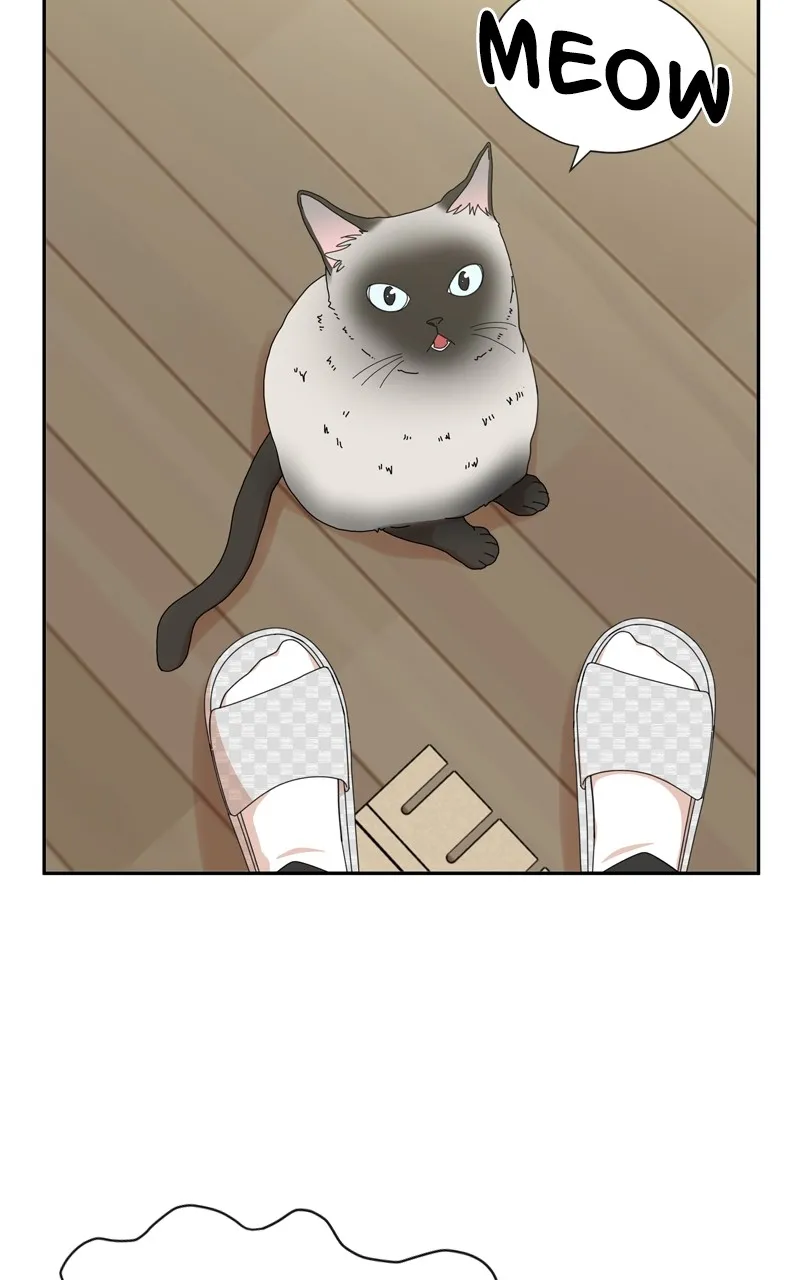 Read The Guy with Pretty Lips chapter 5 image 5 on Lezhin