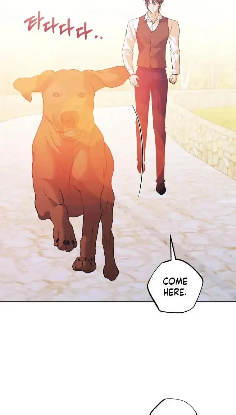 Read The Hand That Once Fed chapter 119 image 49 on Lezhin