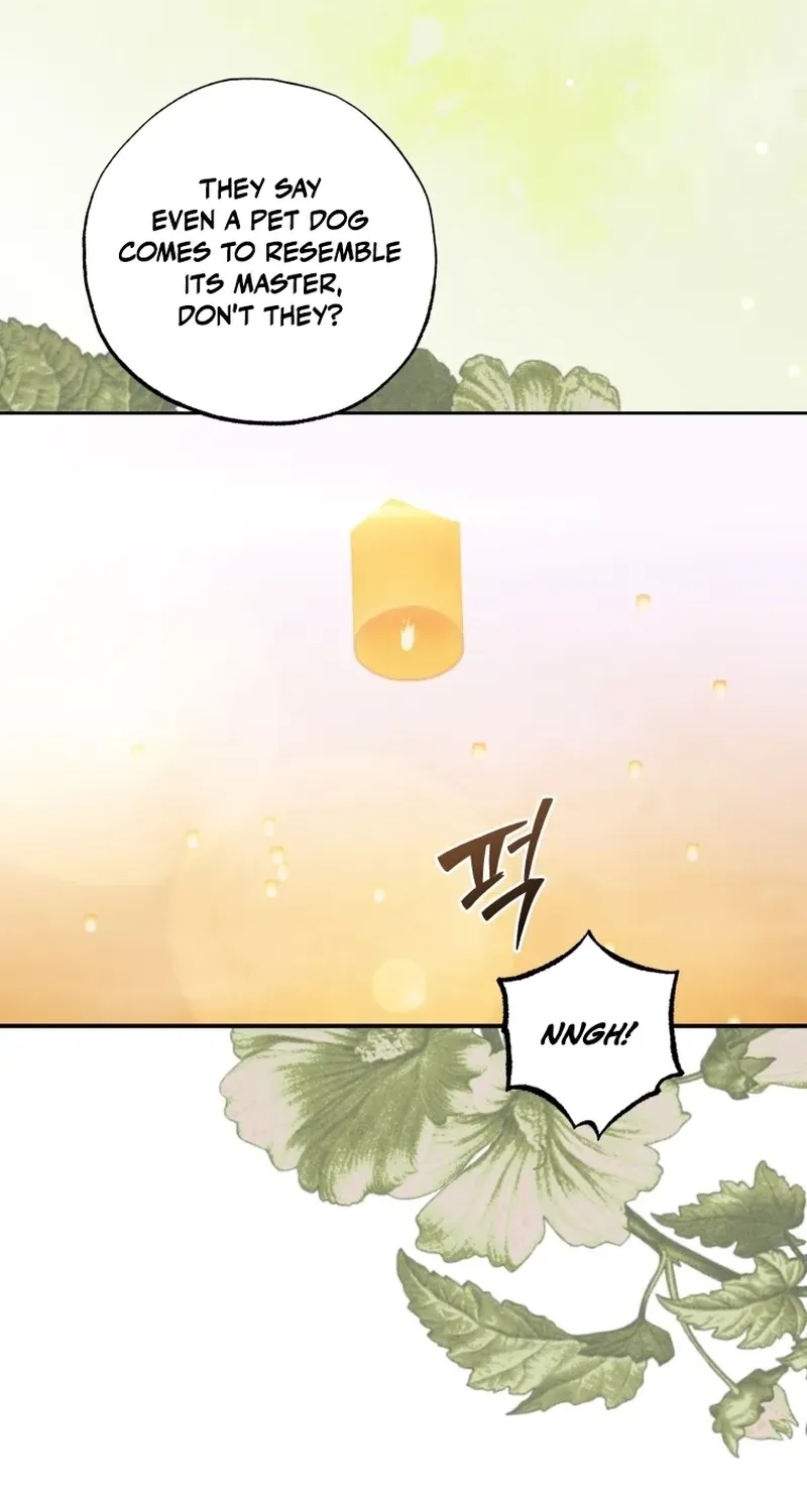 Read The Hand That Once Fed chapter 92 image 91 on Lezhin
