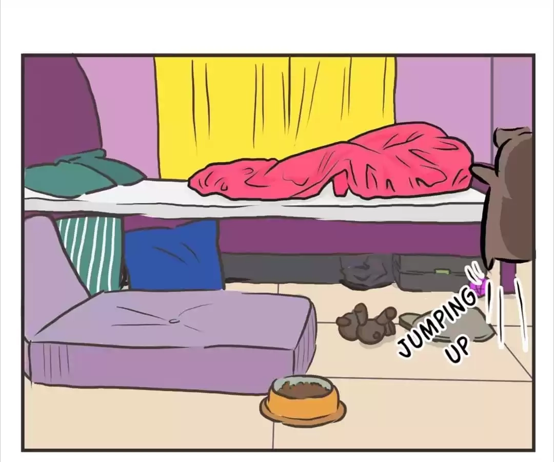 The Healing Bear and the Red Panda Chapter 21 page 42 - 