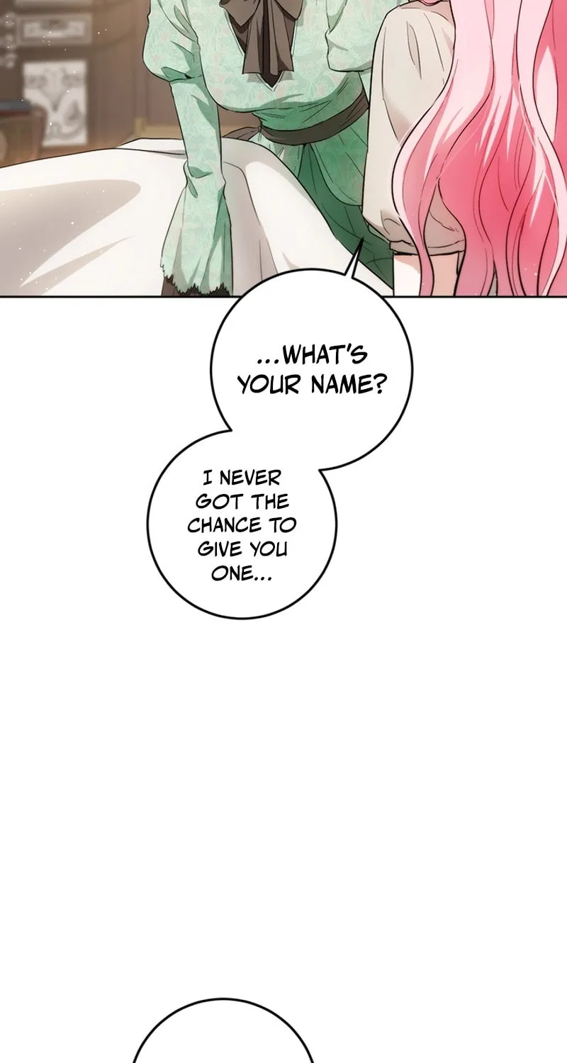 The Heiress's Double Life Chapter 101 page 64 - 