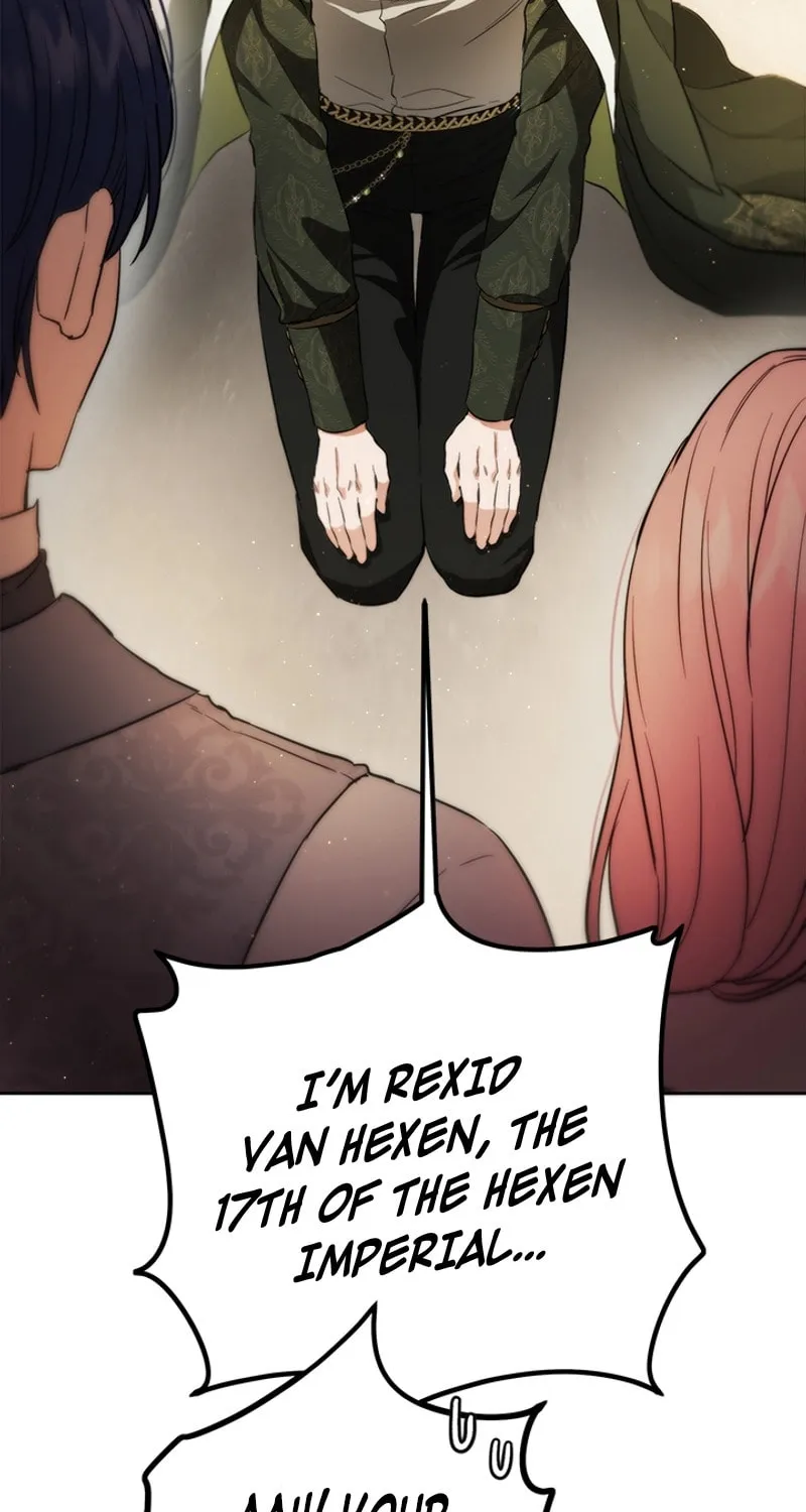 The Heiress's Double Life Chapter 102 page 34 - 
