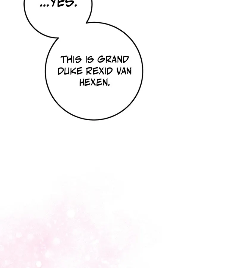 The Heiress's Double Life Chapter 102 page 40 - 