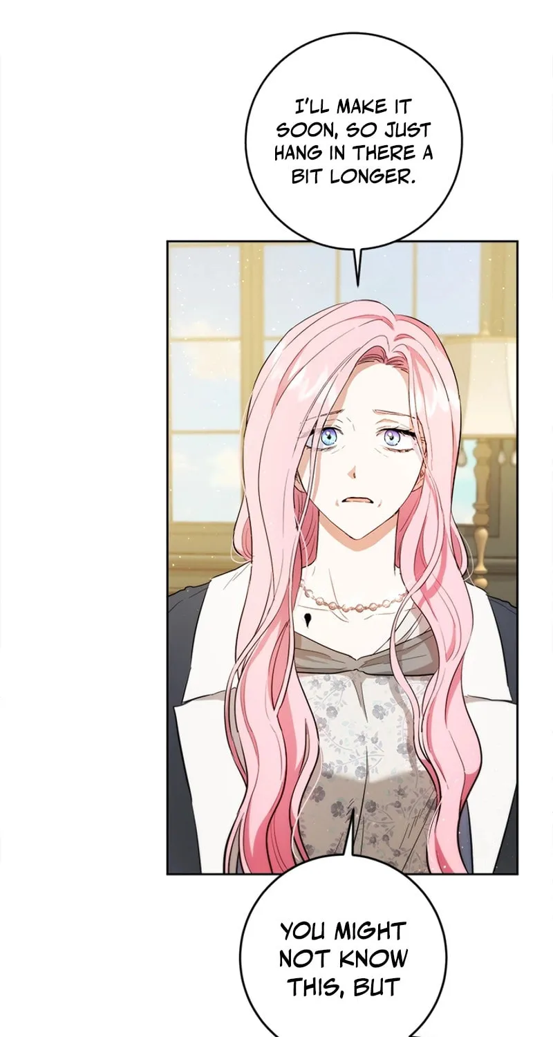 The Heiress's Double Life Chapter 102 page 65 - 