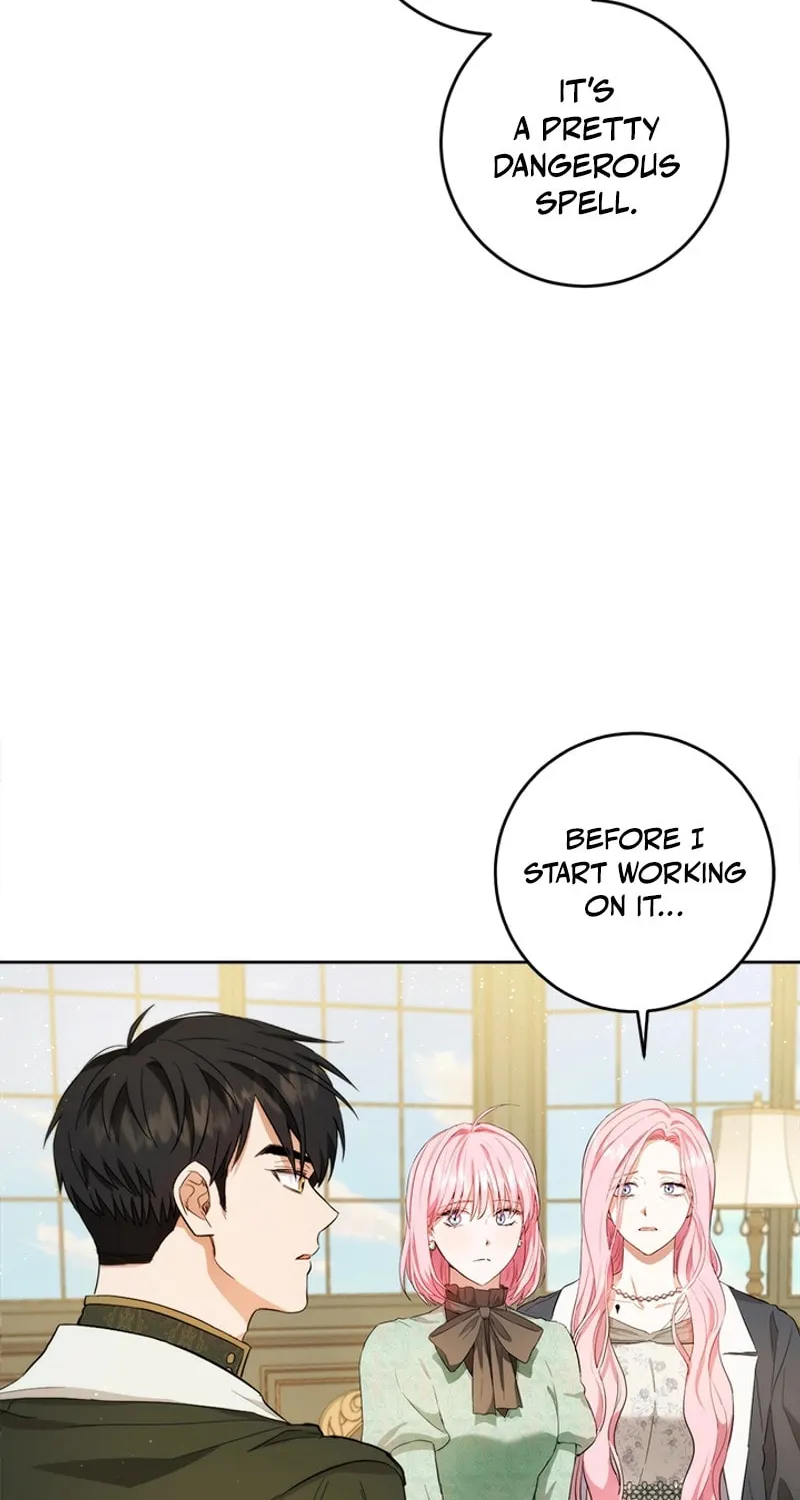 The Heiress's Double Life Chapter 102 page 66 - 