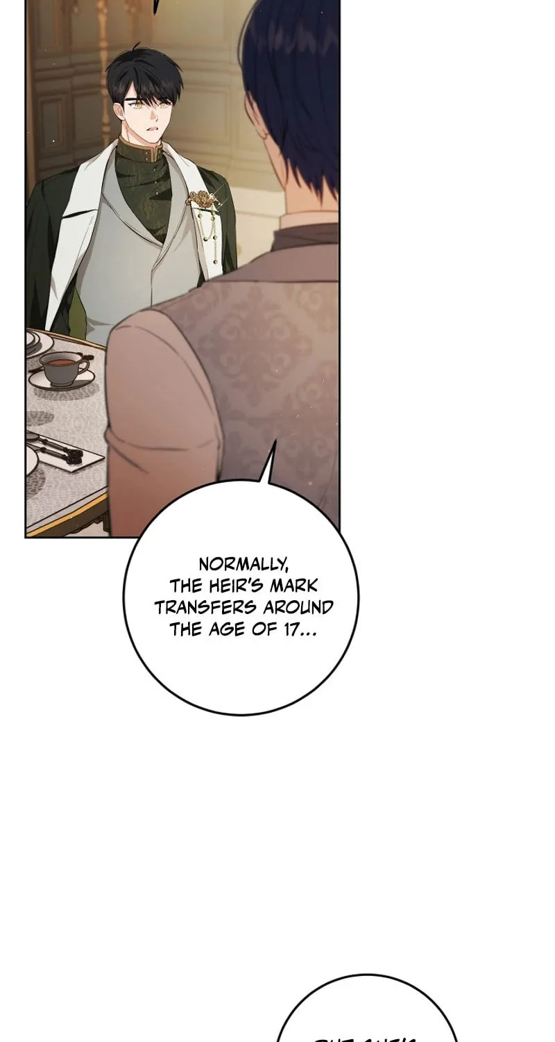 The Heiress's Double Life Chapter 103 page 35 - 