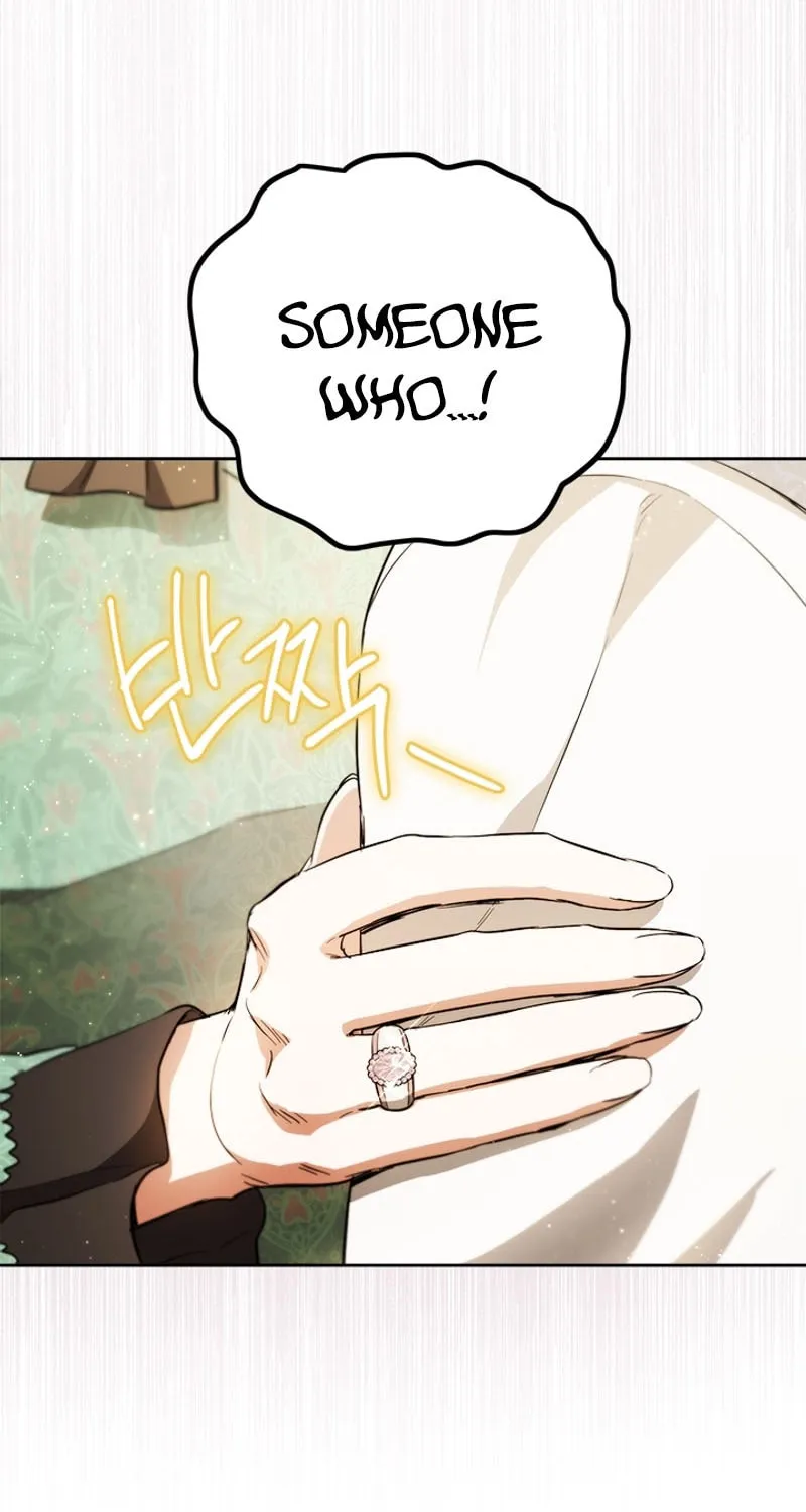 The Heiress's Double Life Chapter 104 page 20 - 