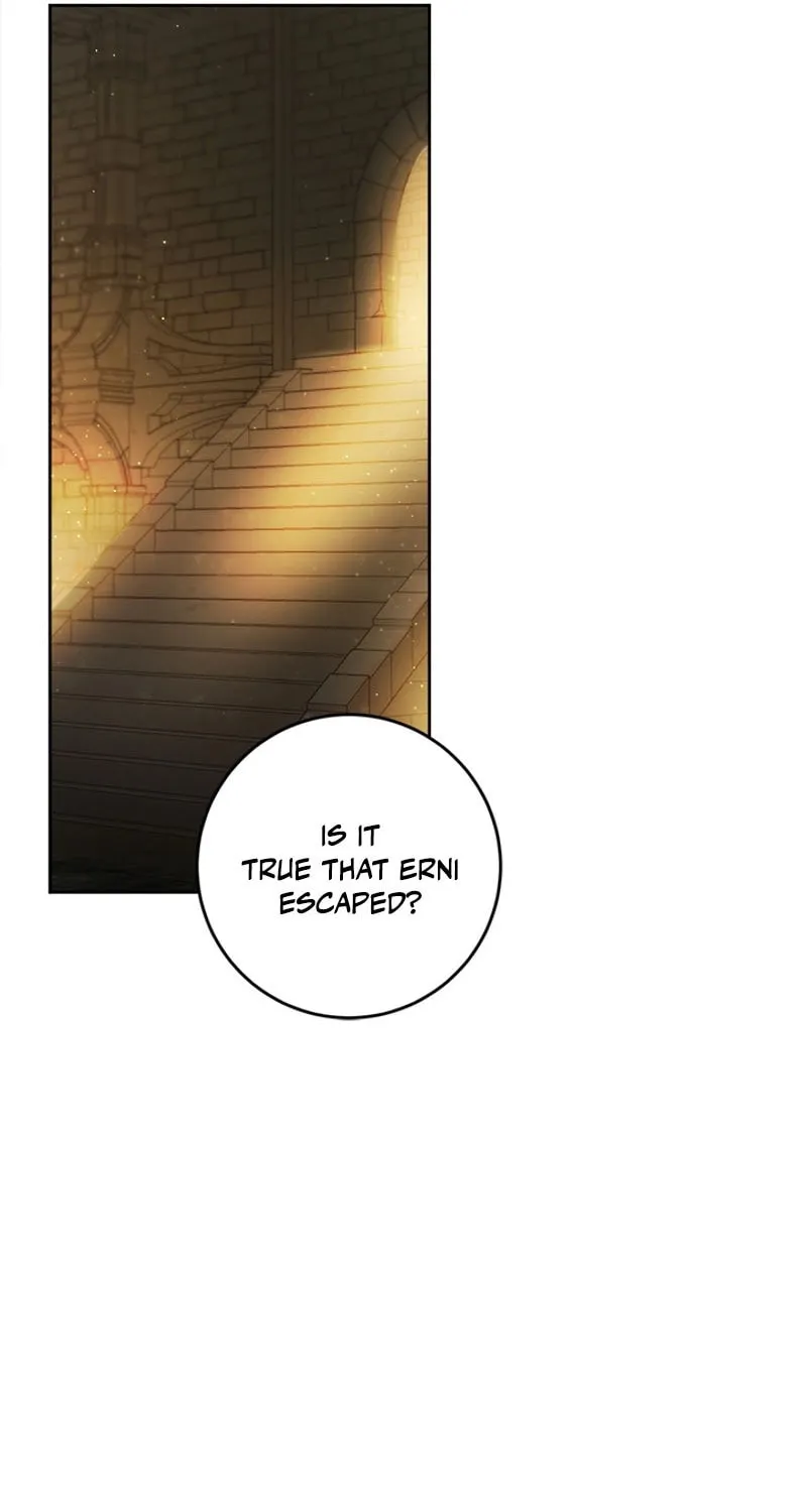 The Heiress's Double Life Chapter 104 page 41 - 