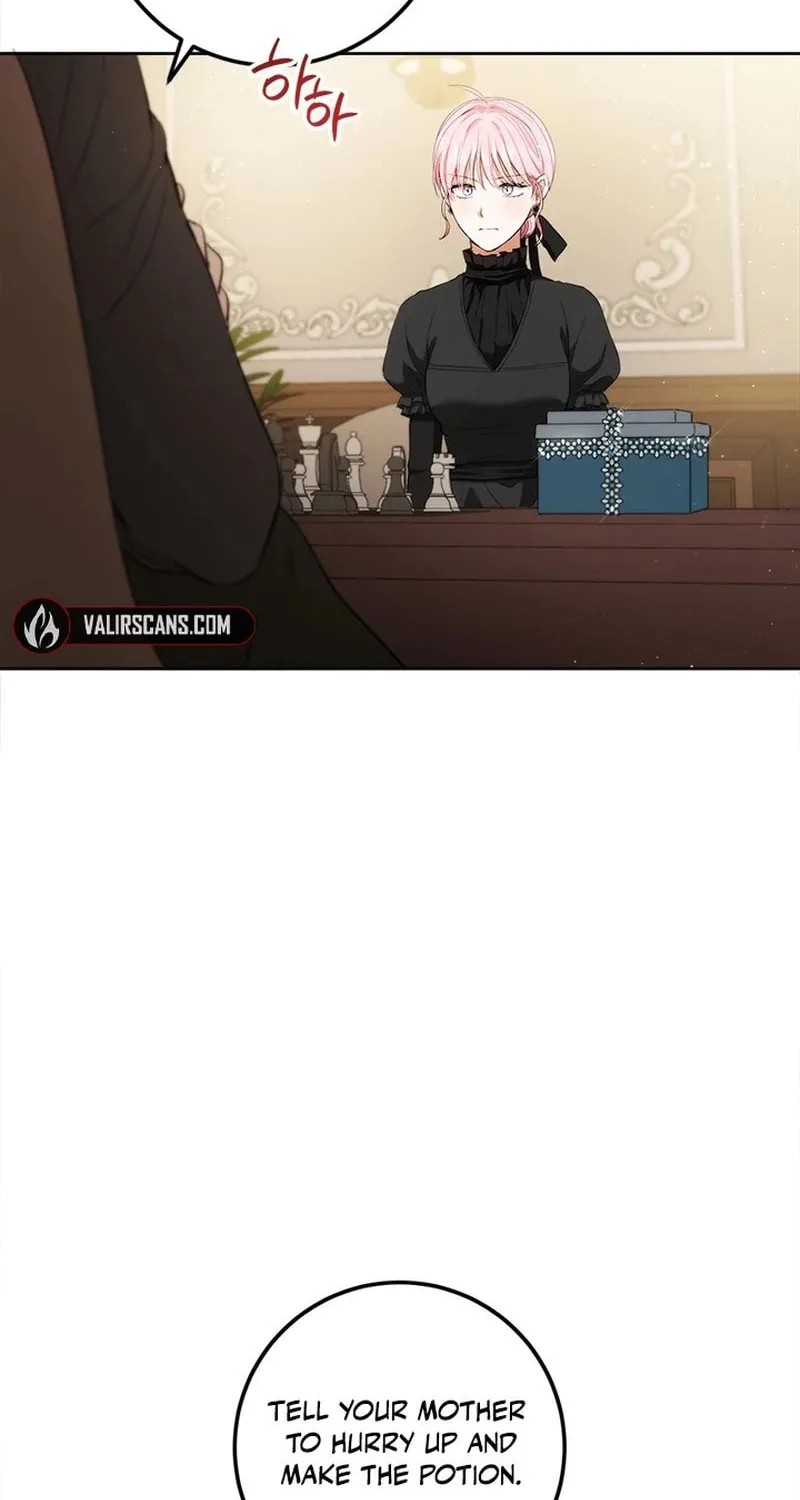 The Heiress's Double Life Chapter 106 page 65 - 