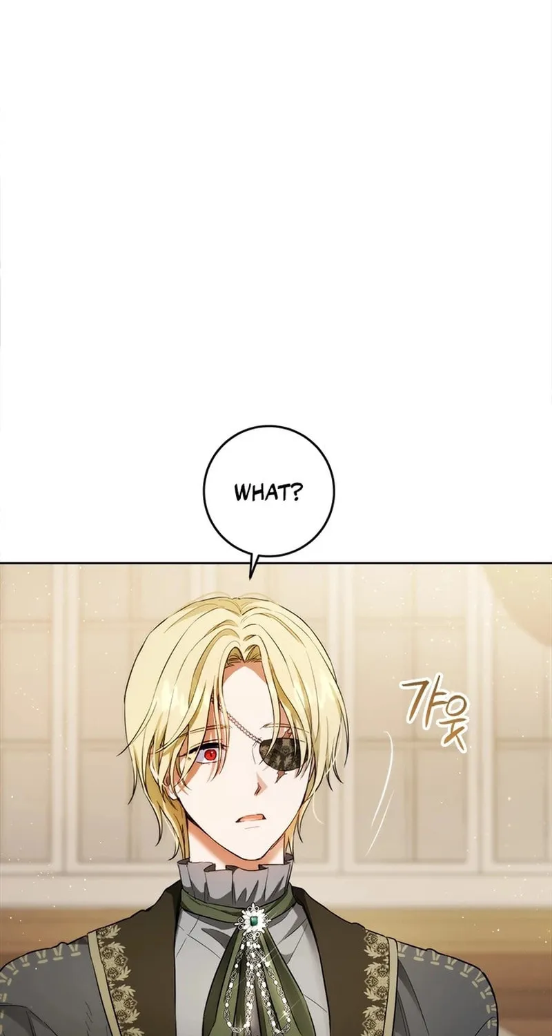 The Heiress's Double Life Chapter 106 page 67 - 