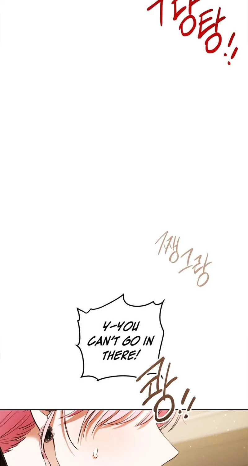 The Heiress's Double Life Chapter 106 page 94 - 