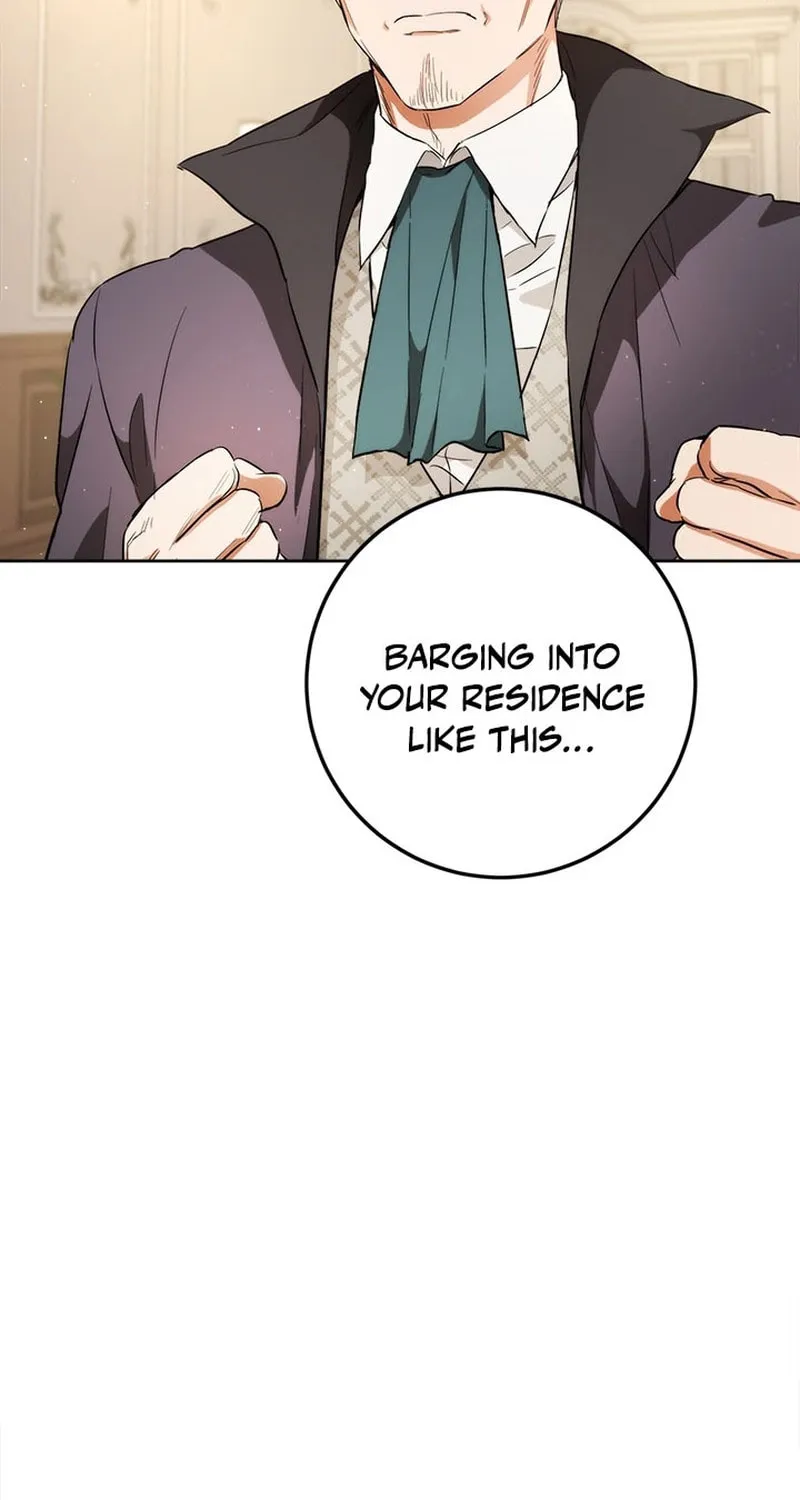 The Heiress's Double Life Chapter 107 page 17 - 