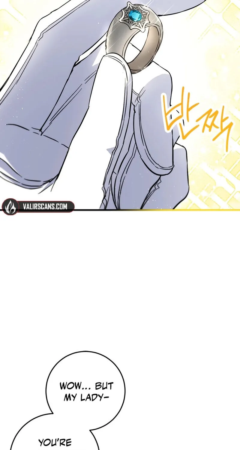 The Heiress's Double Life Chapter 107 page 36 - 