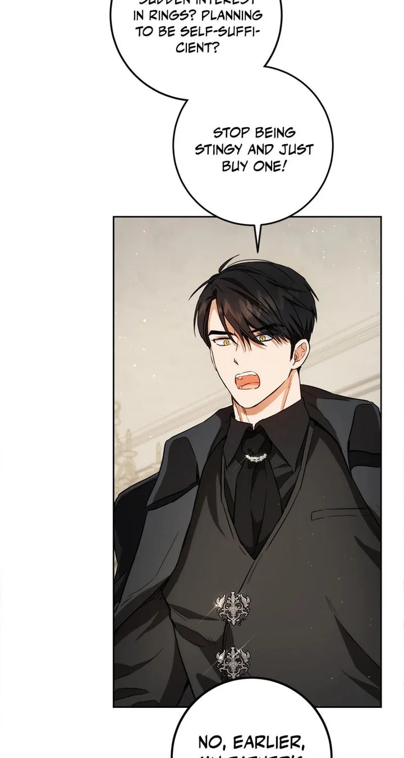 The Heiress's Double Life Chapter 107 page 38 - 