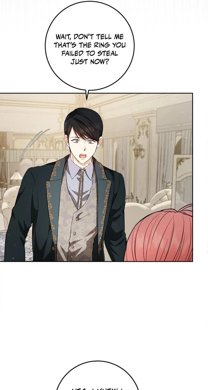 The Heiress's Double Life Chapter 107 page 41 - 