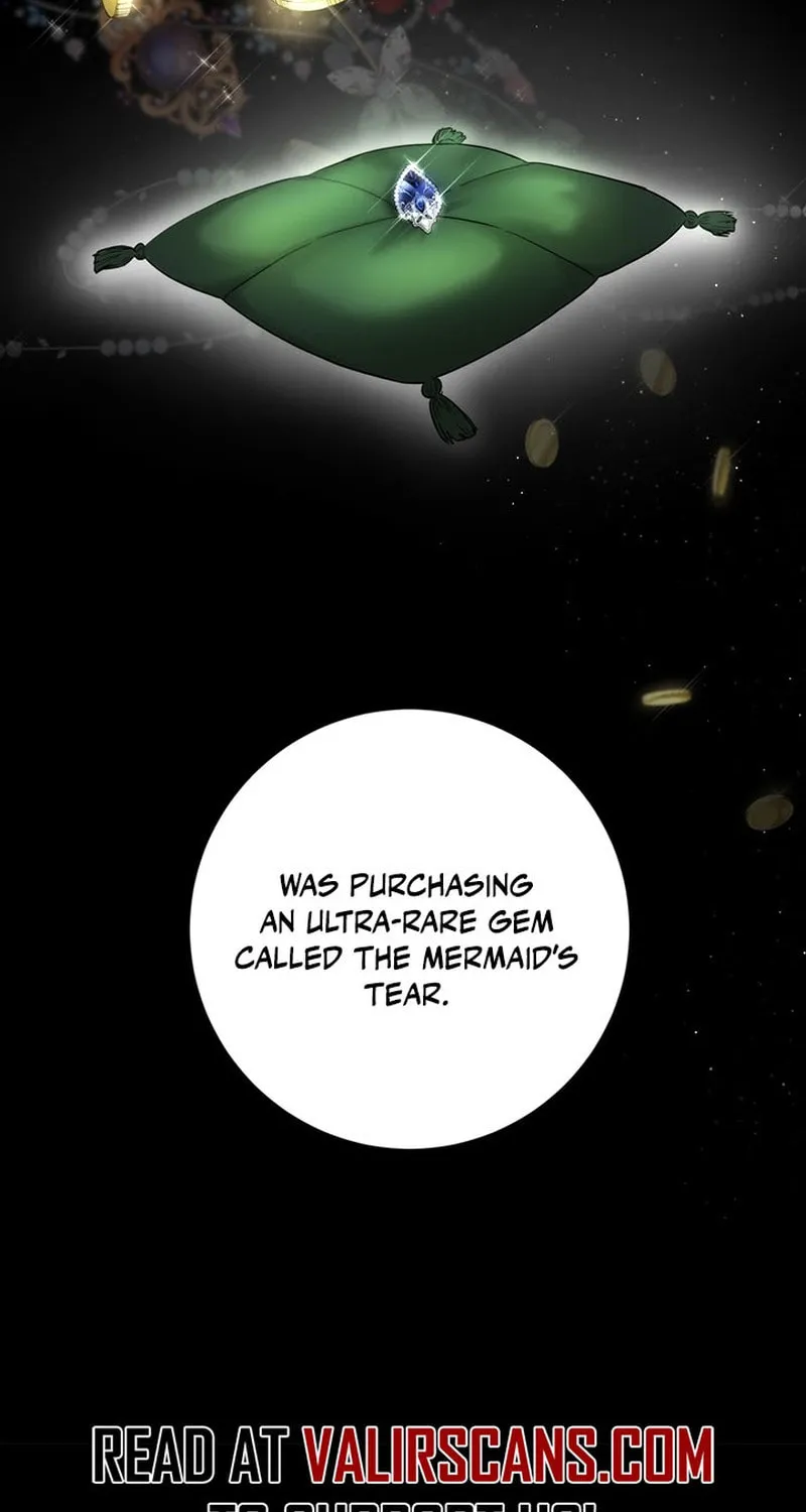 The Heiress's Double Life Chapter 107 page 48 - 