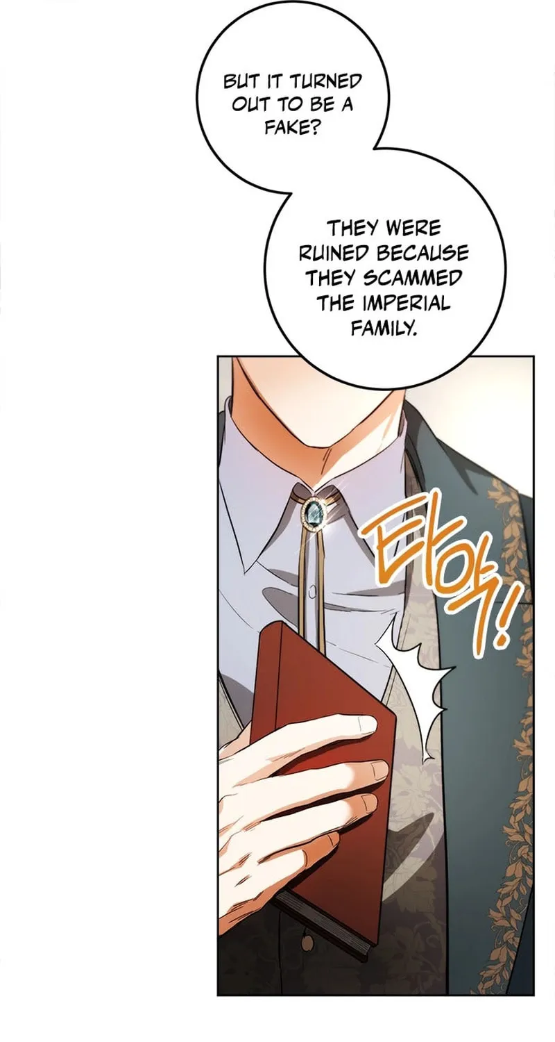 The Heiress's Double Life Chapter 107 page 51 - 