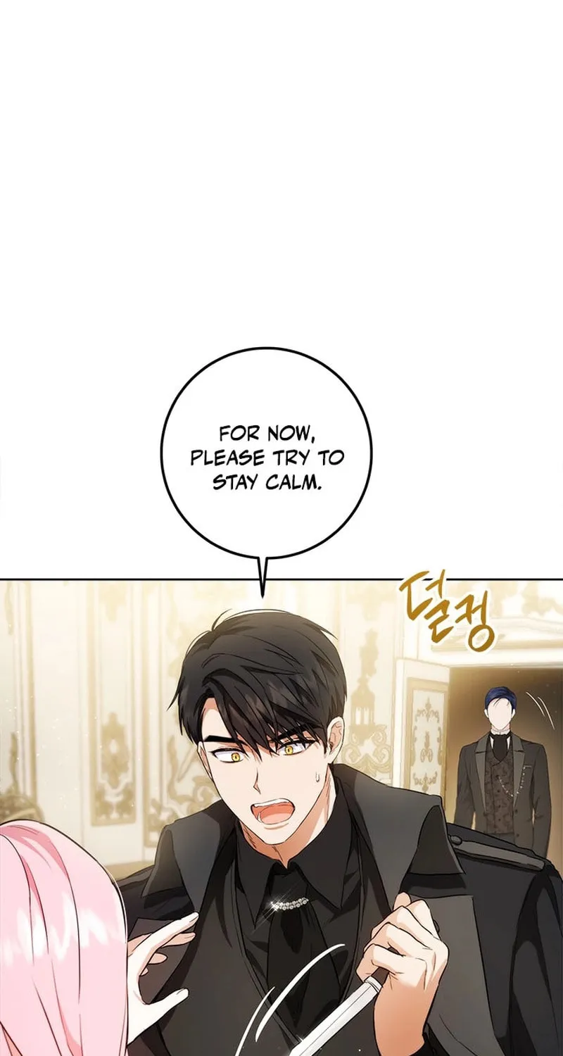 The Heiress's Double Life Chapter 108 page 24 - 