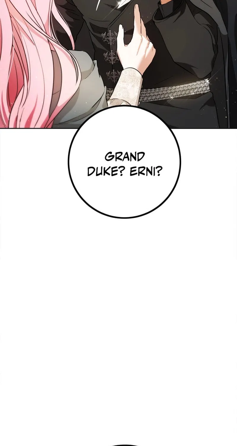 The Heiress's Double Life Chapter 108 page 25 - 