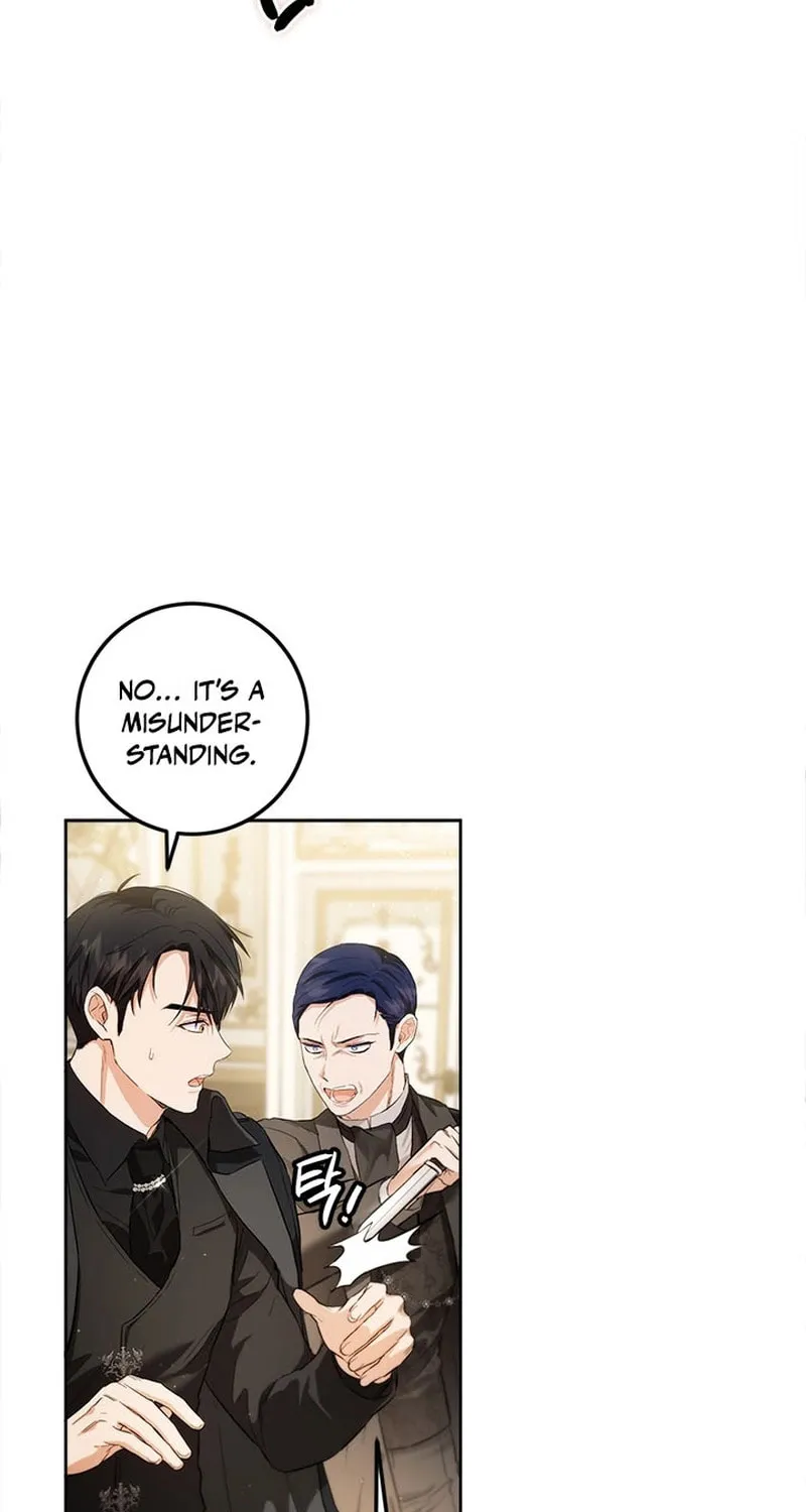 The Heiress's Double Life Chapter 108 page 27 - 