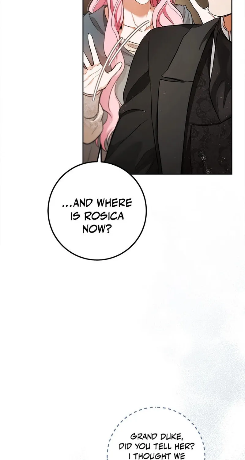 The Heiress's Double Life Chapter 108 page 29 - 