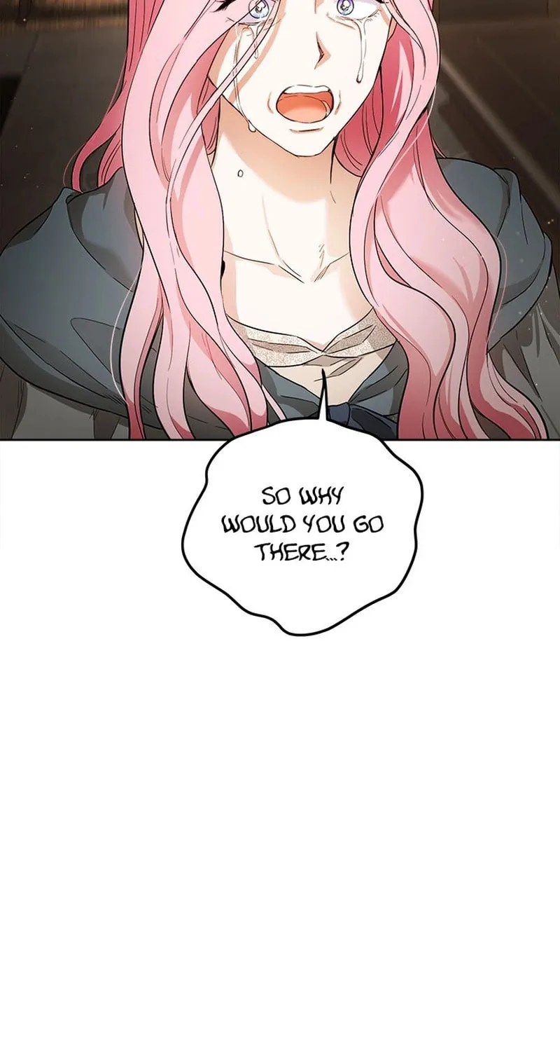 The Heiress's Double Life Chapter 108 page 47 - 