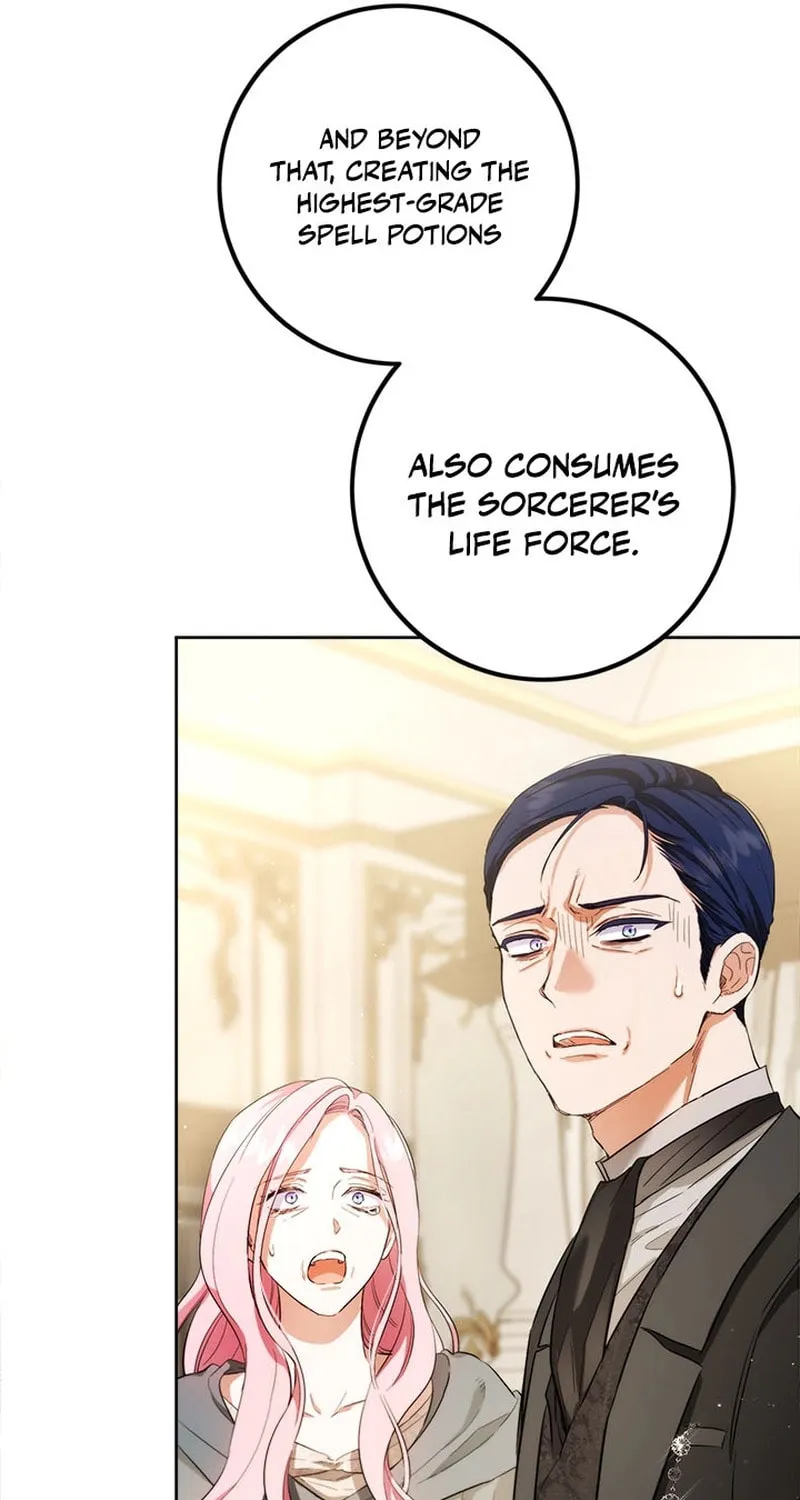The Heiress's Double Life Chapter 108 page 61 - 