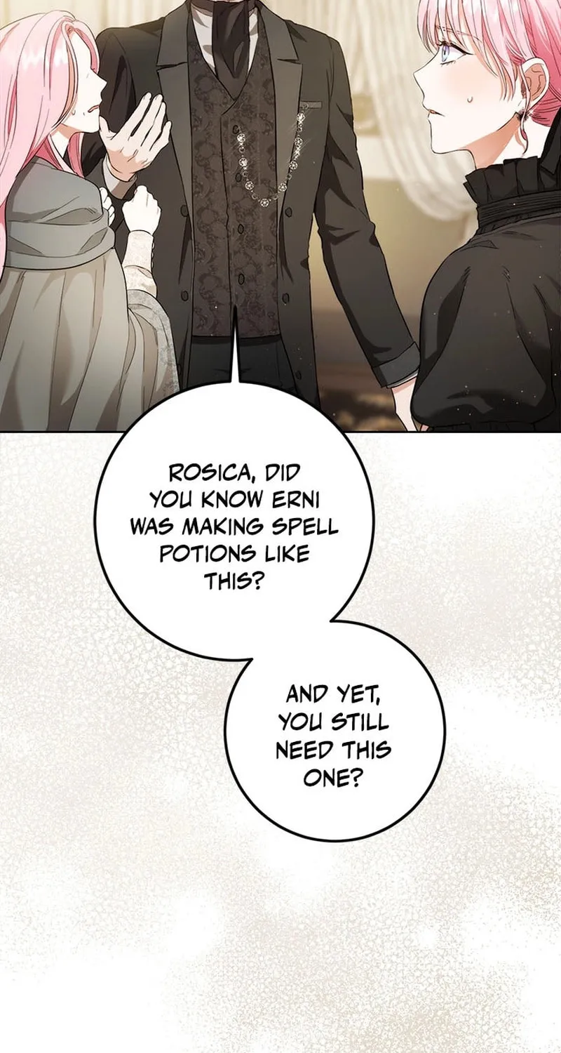 The Heiress's Double Life Chapter 108 page 69 - 