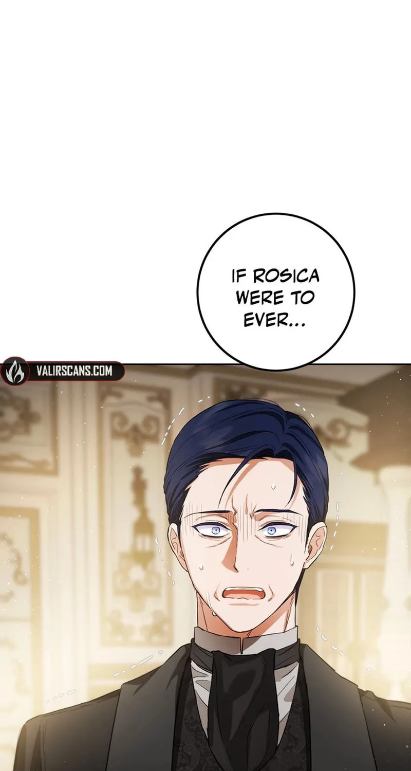 The Heiress's Double Life Chapter 108 page 84 - 