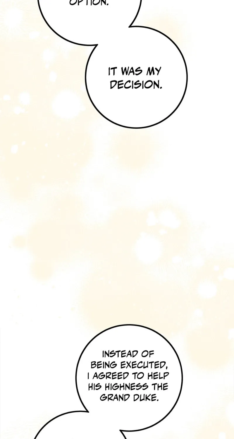 The Heiress's Double Life Chapter 109 page 12 - 