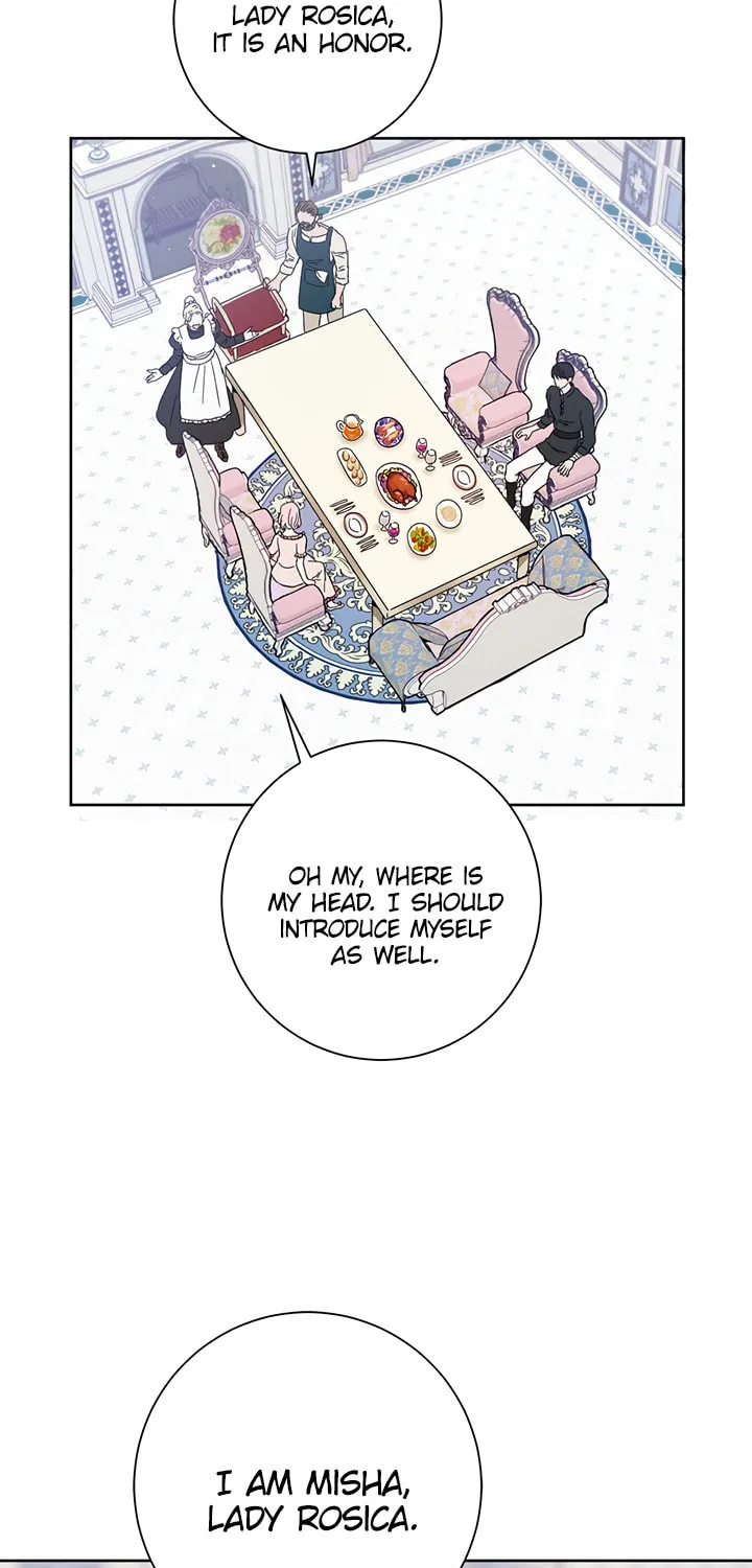 The Heiress's Double Life Chapter 11 page 19 - 