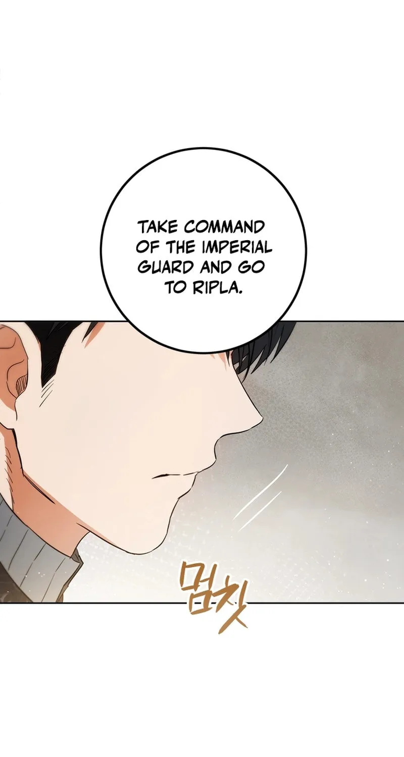 The Heiress's Double Life Chapter 110 page 46 - 