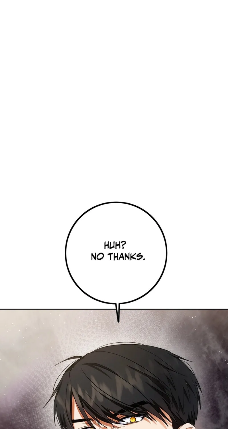 The Heiress's Double Life Chapter 110 page 47 - 