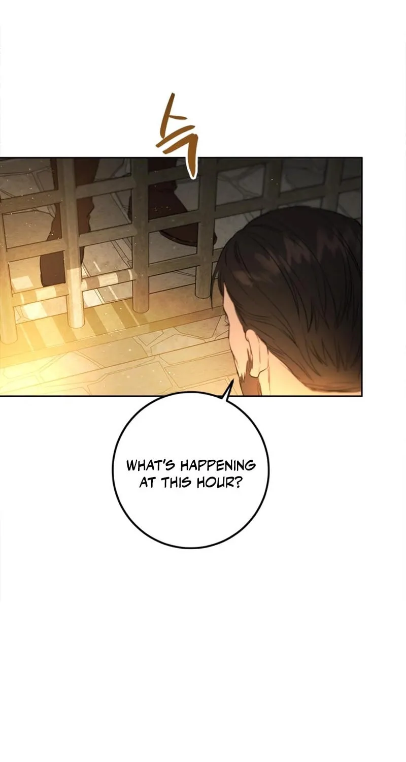 The Heiress's Double Life Chapter 111 page 24 - 