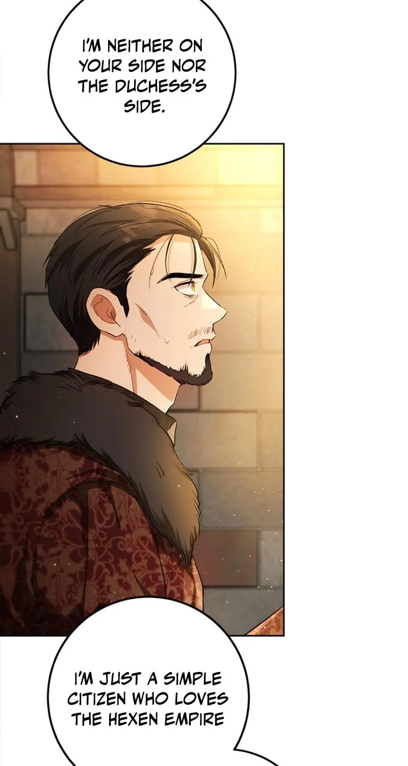 The Heiress's Double Life Chapter 111 page 46 - 
