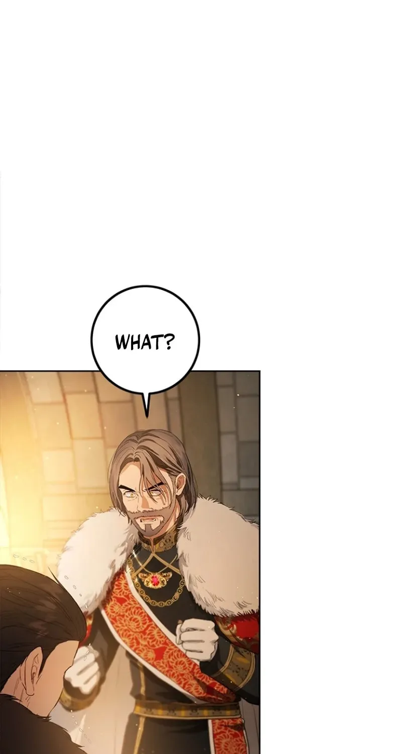 The Heiress's Double Life Chapter 113 page 27 - 