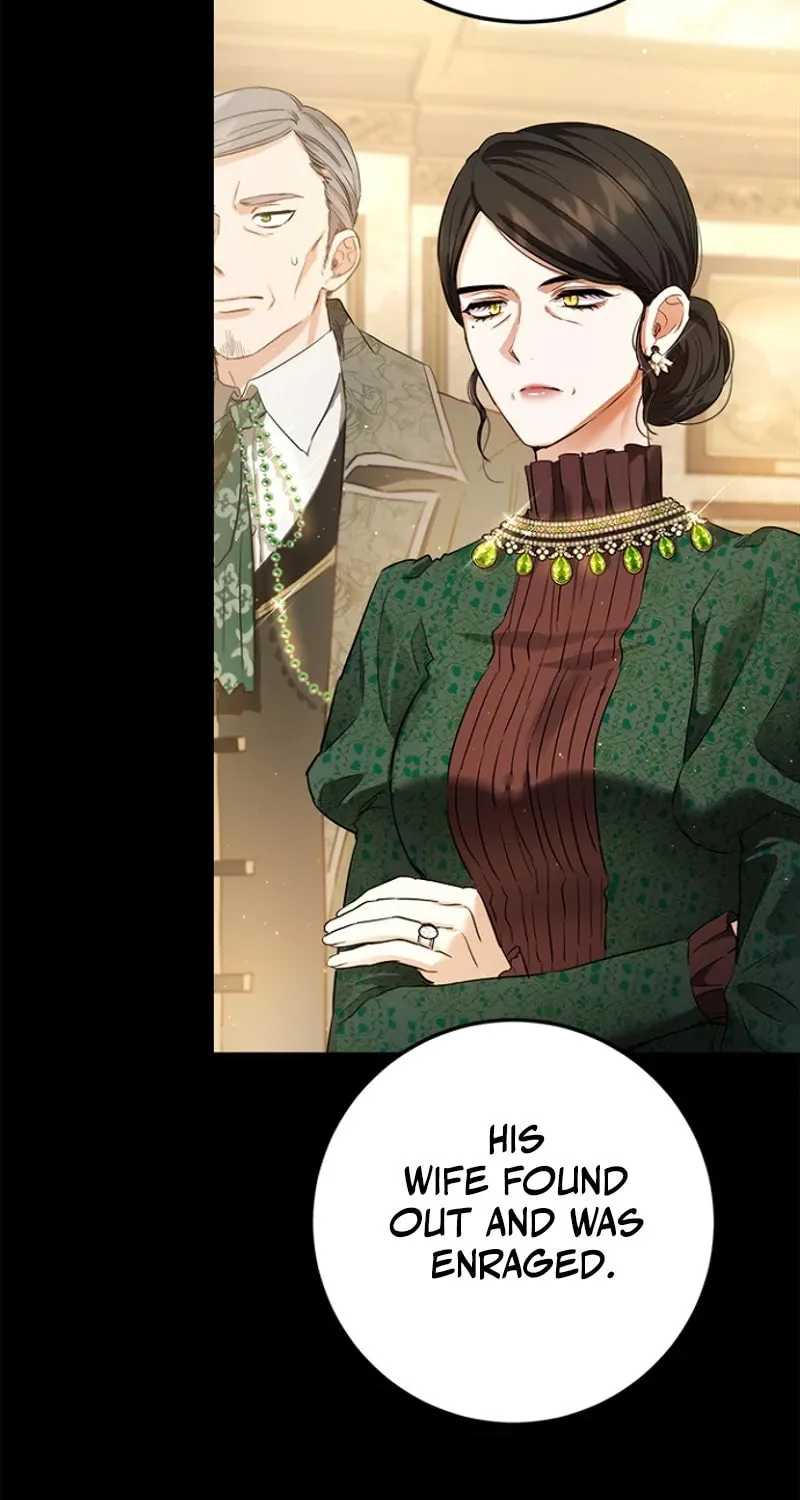 The Heiress's Double Life Chapter 113 page 73 - 