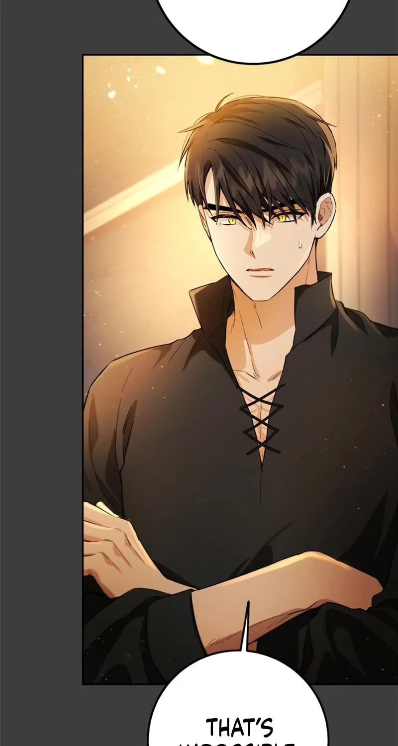 The Heiress's Double Life Chapter 116 page 33 - 