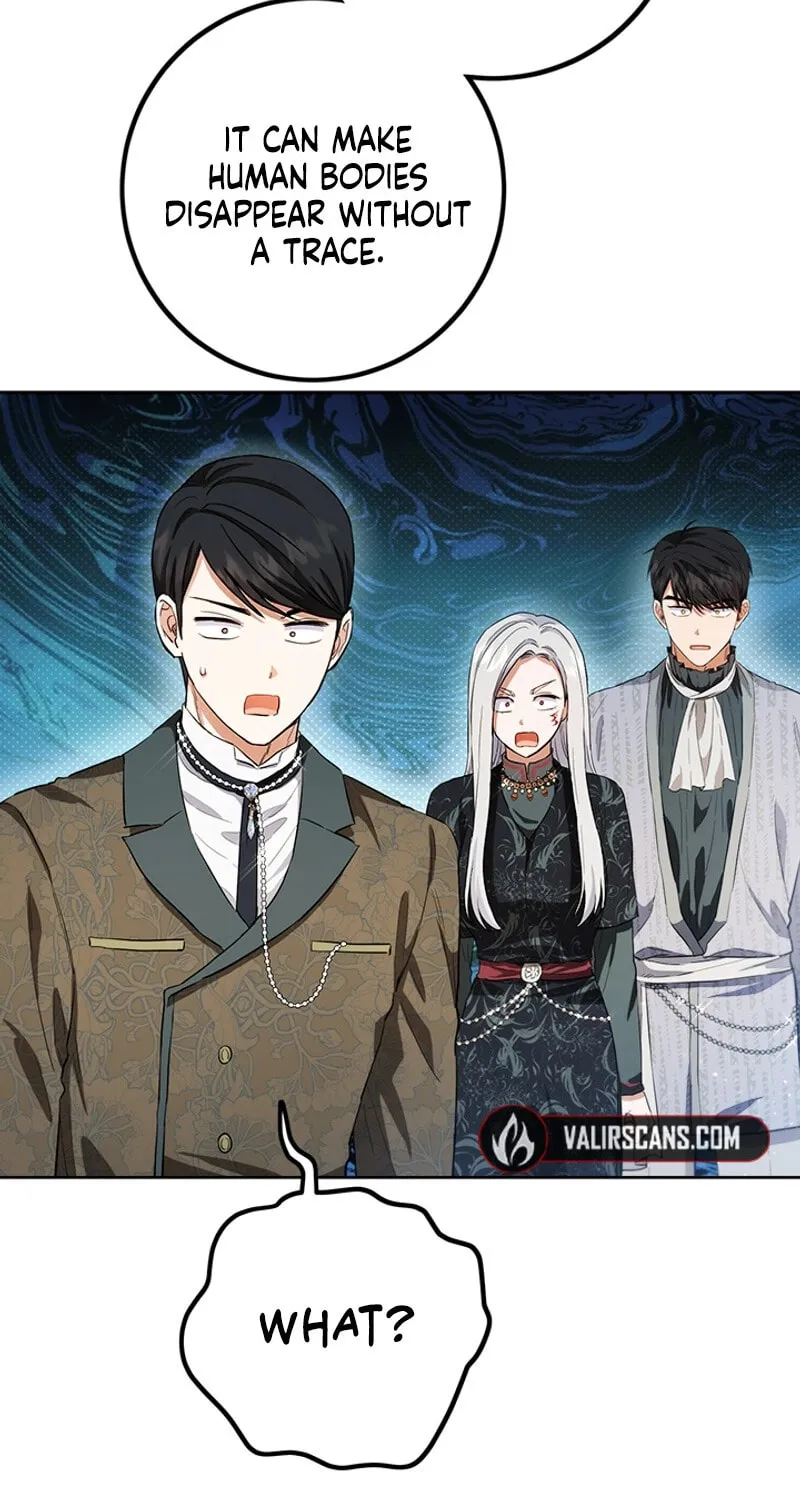 The Heiress's Double Life Chapter 118 page 102 - 