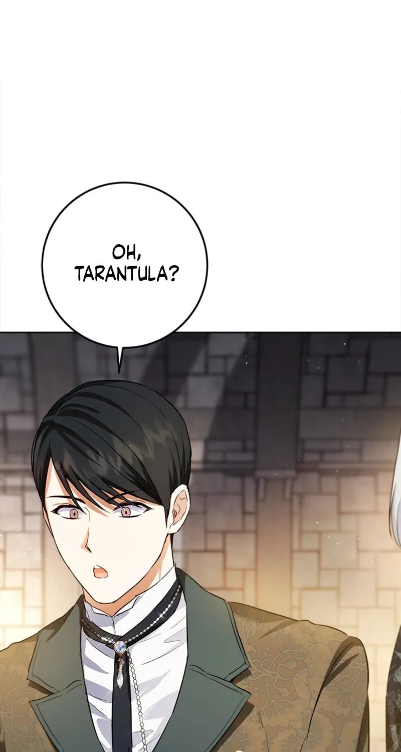 The Heiress's Double Life Chapter 118 page 82 - 