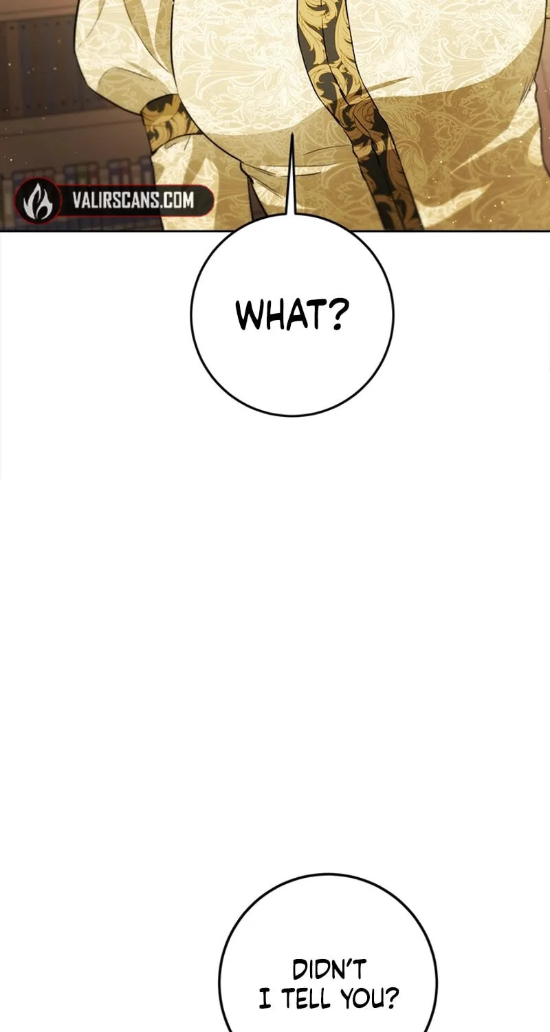 The Heiress's Double Life Chapter 119 page 18 - 