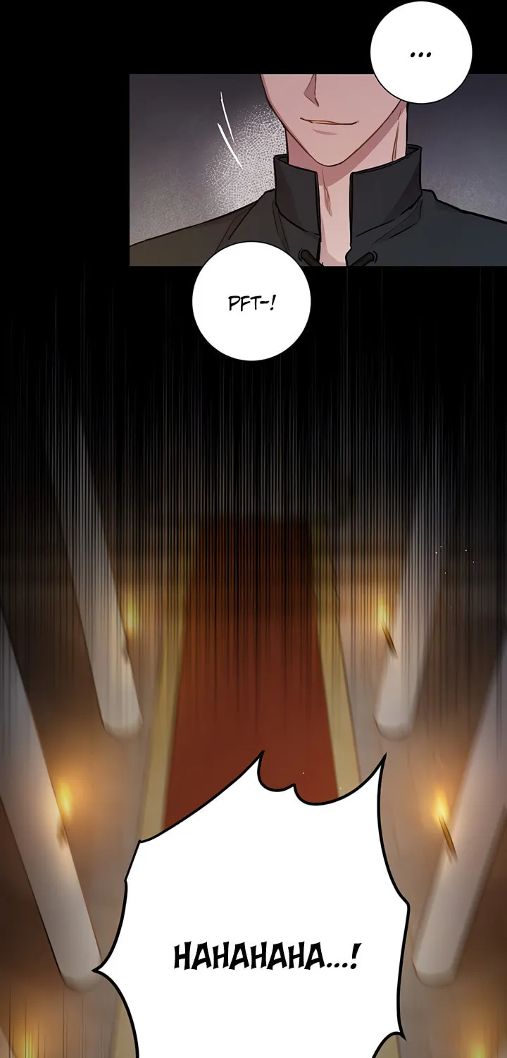 The Heiress's Double Life Chapter 12 page 27 - 