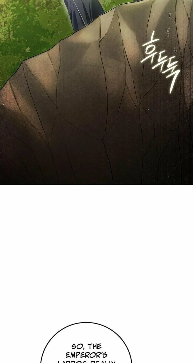 The Heiress's Double Life Chapter 122 page 37 - 