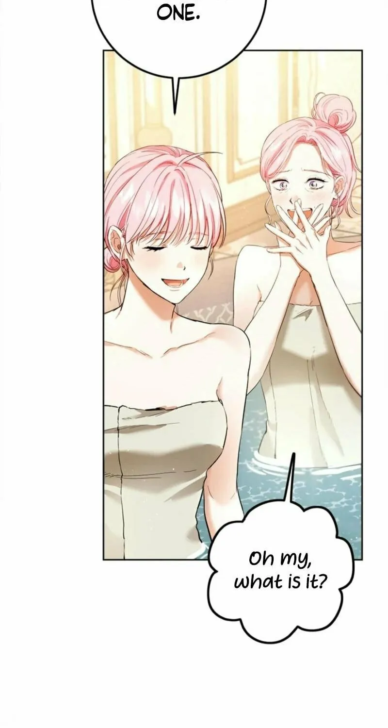 The Heiress's Double Life Chapter 125 page 47 - 
