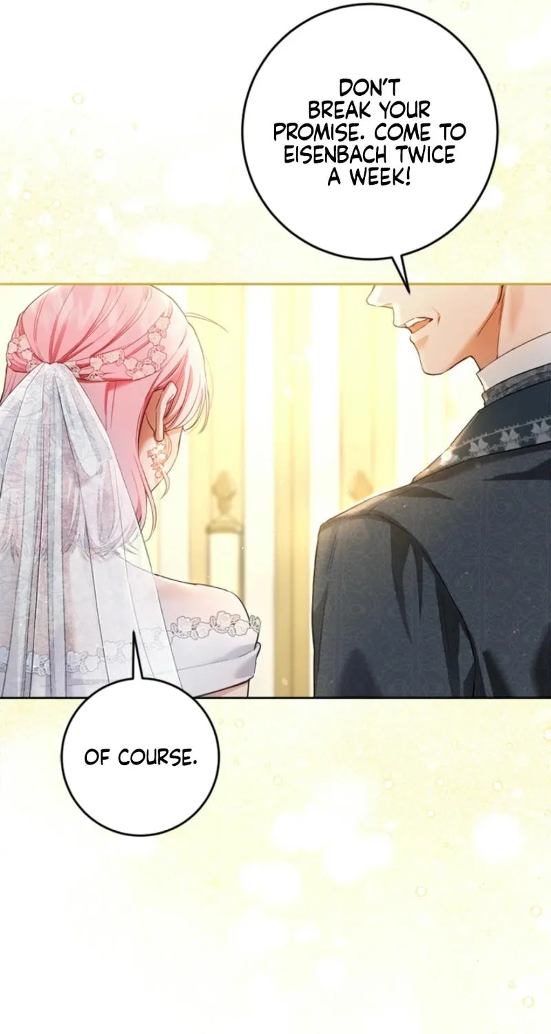 The Heiress's Double Life Chapter 126 page 11 - 