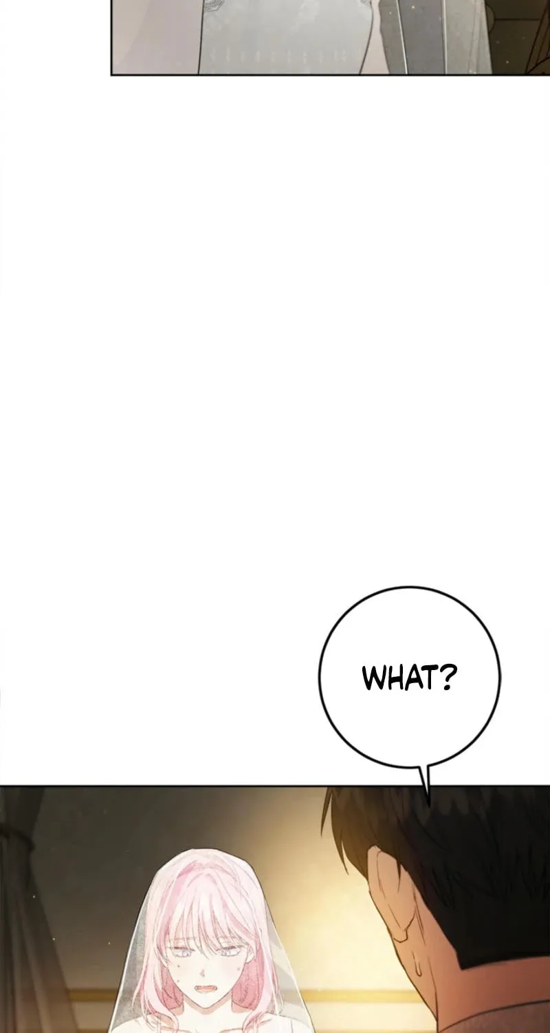 The Heiress's Double Life Chapter 126 page 74 - 