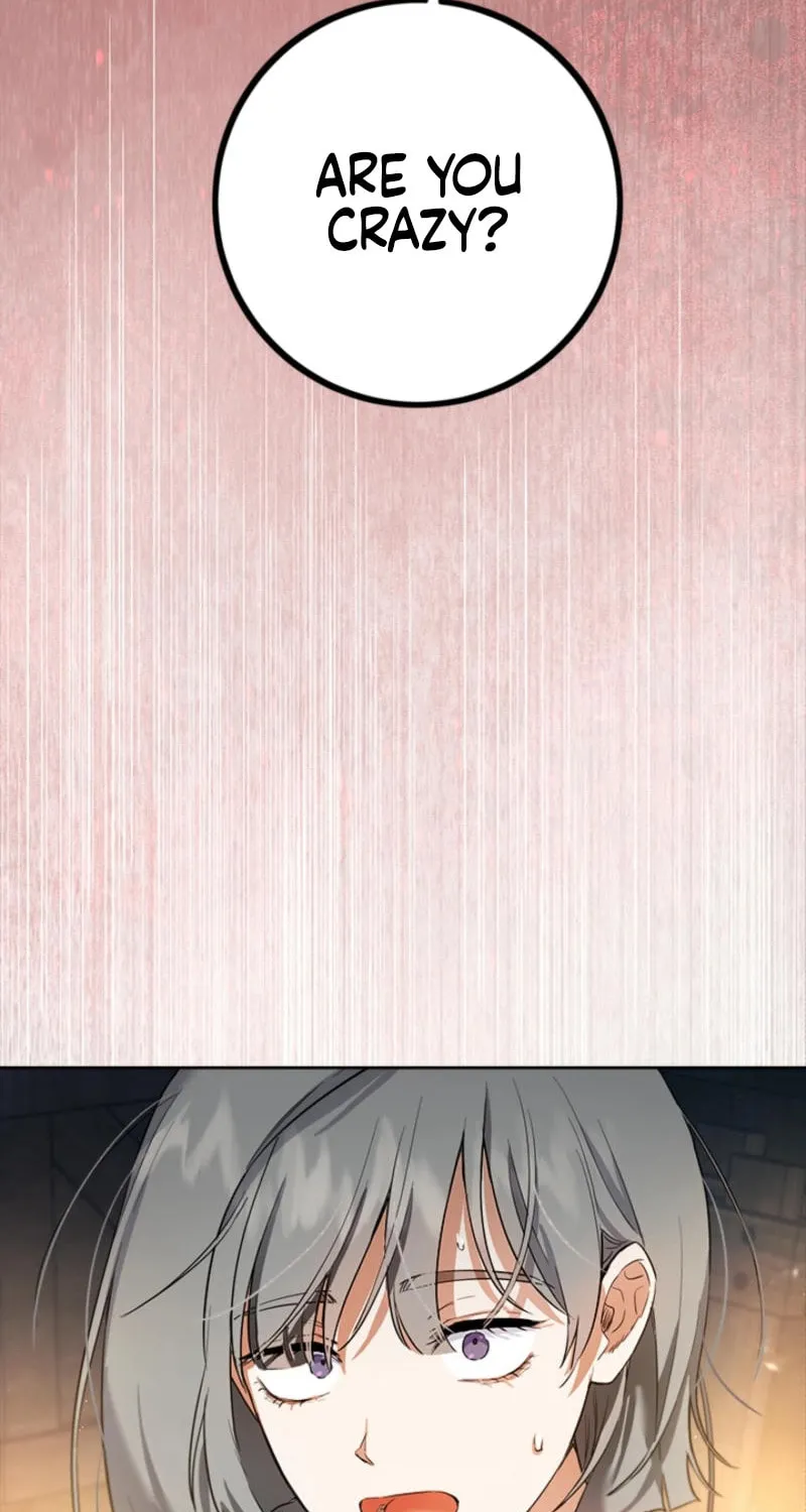The Heiress's Double Life Chapter 127 page 66 - 