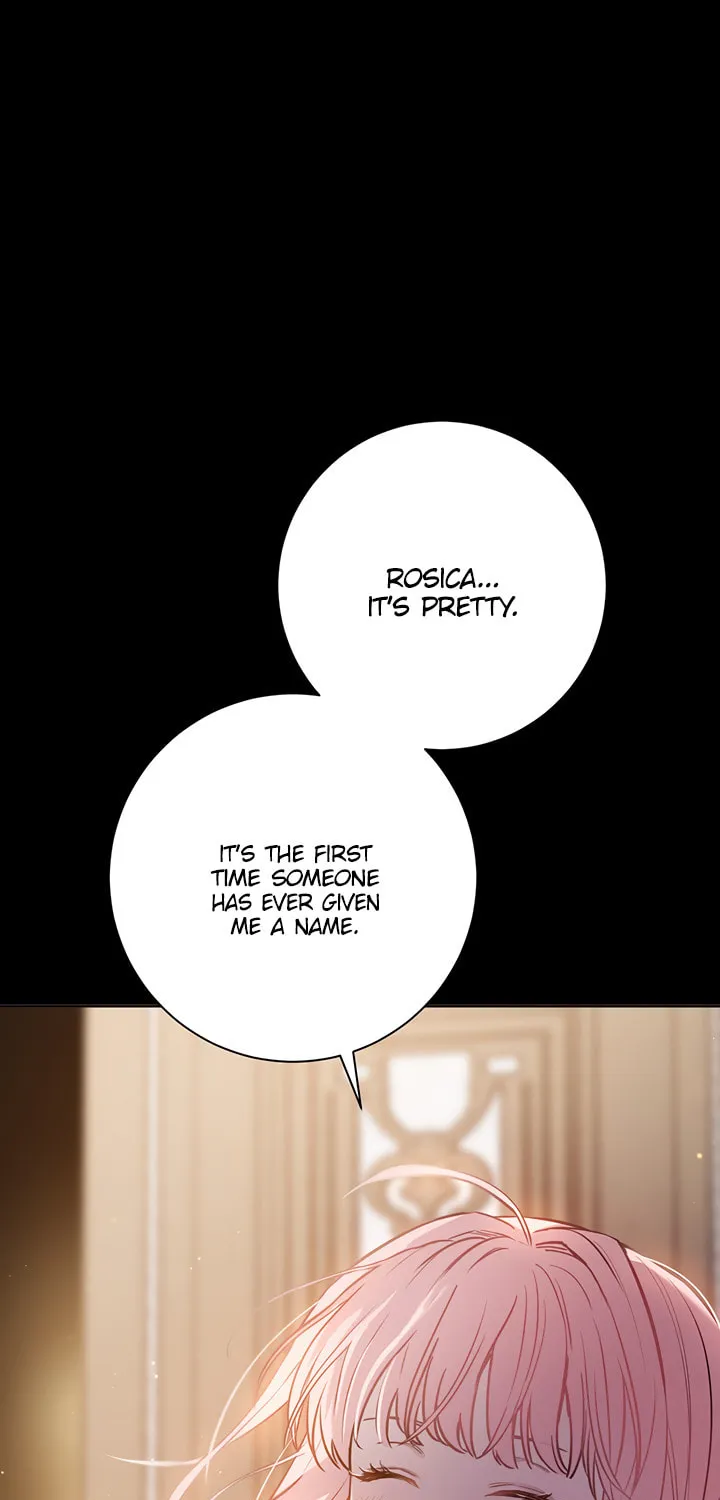 The Heiress's Double Life Chapter 13 page 81 - 