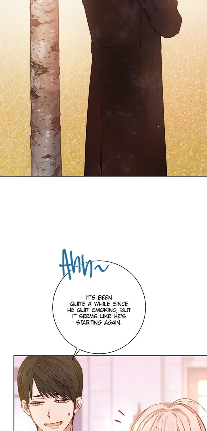 The Heiress's Double Life Chapter 15 page 46 - 